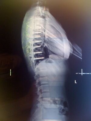 Mini_Parsons's profile picture. 