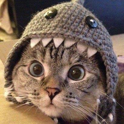 ProcIrl's profile picture. Random ass player