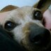 manu_ (@nobodykare5) Twitter profile photo