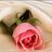 hakema1237's profile image