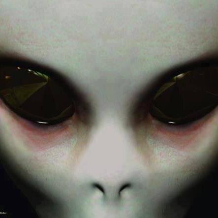 Truth_Company's profile picture. Free Psychological Profile Readings, Oracle/Tarot Card Readings, Articles, Therapy Sessions, and Dream Interpretations