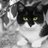 mocha_mki's profile image