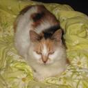 Beverly Sinclair - @sinclairbev - Twitter