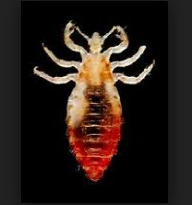 snwbana's profile picture. แอคนี้แอครองเอาไว้รีเพื่อบีวัน ใจดีฟอลแอคหลัก @snw_bana อาจิกนักเว~ยอยจอนนีเว ยอกกีซอกเว อีรอนนึนจี~~♪♬