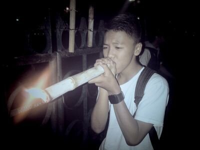 pippoaulias's profile picture. search