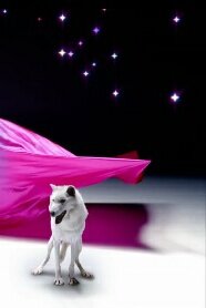 XMugdat's profile picture. 5366661181