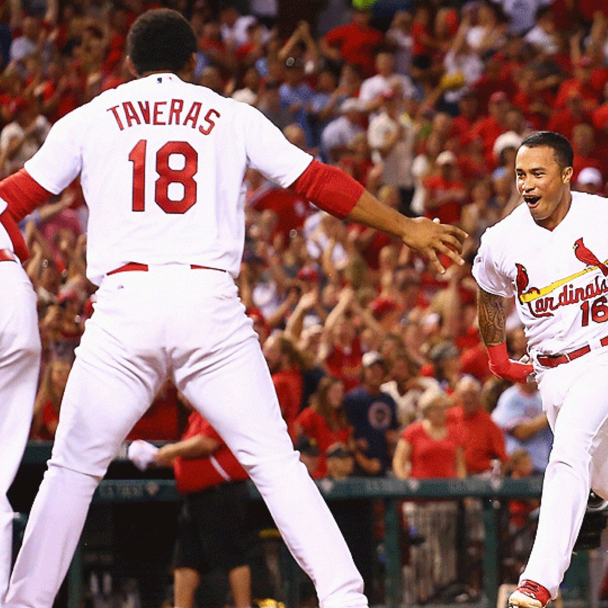 Cardinals Baseball ⚾️