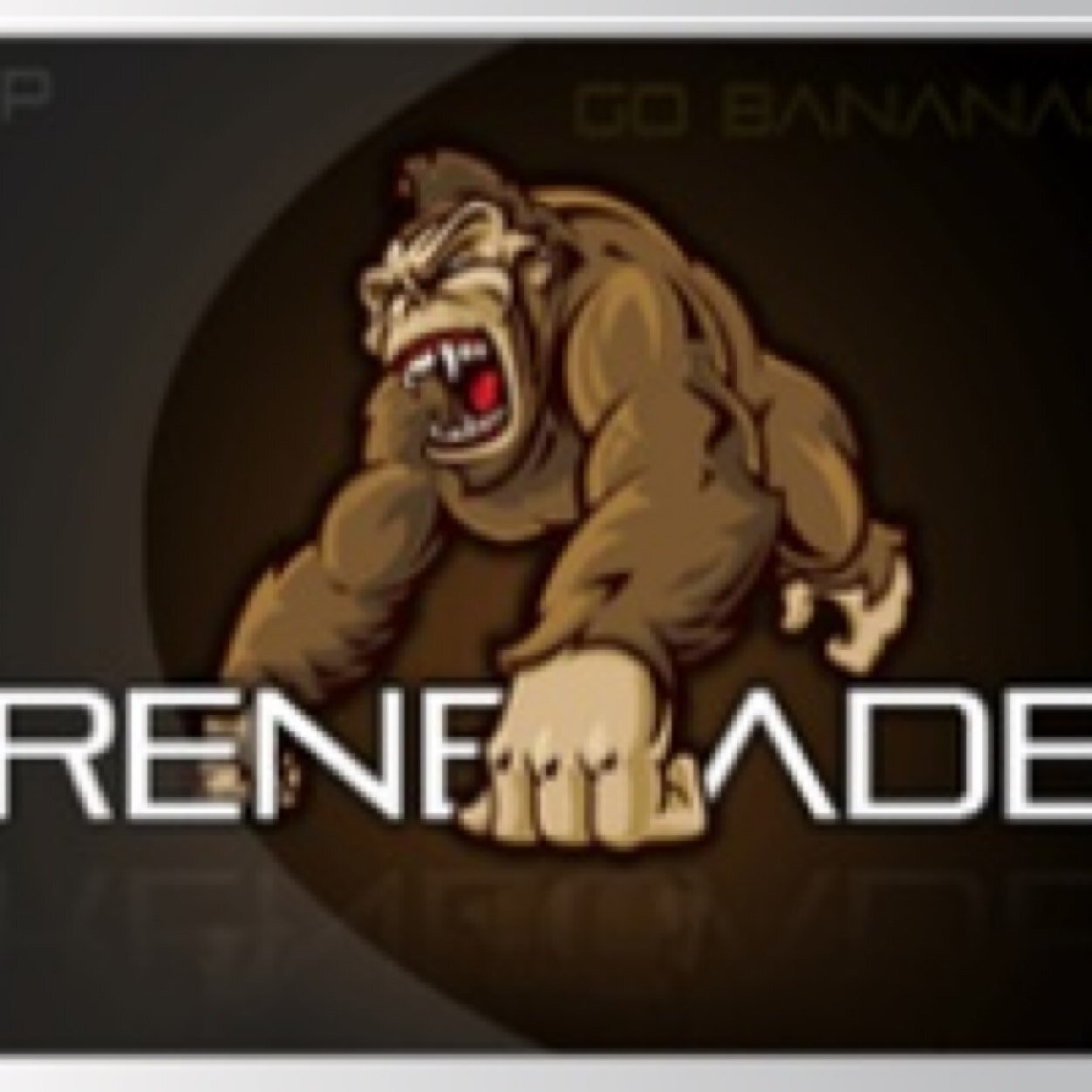 Premiere Esports Organization