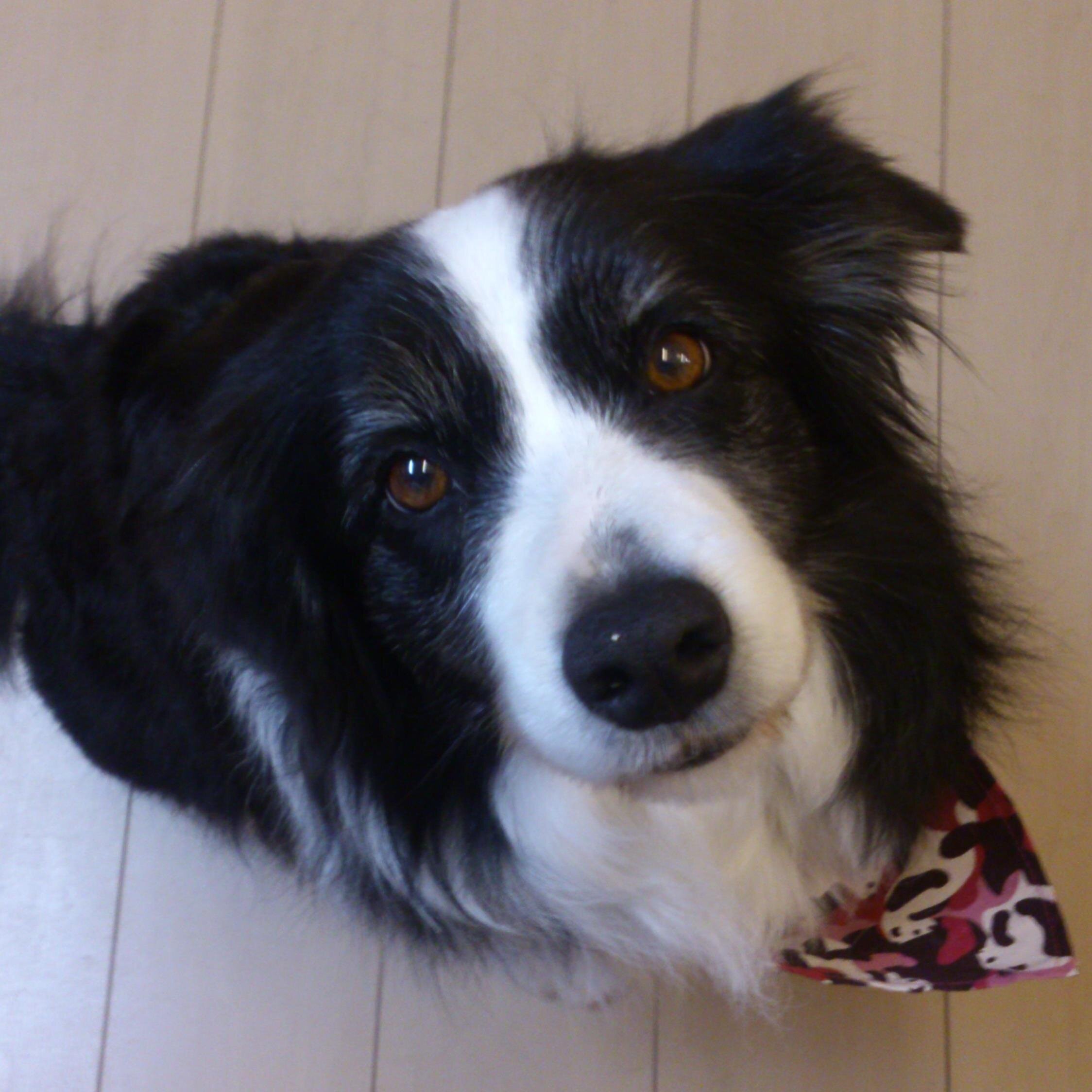 oharu303's profile picture. Economist. Field of Specialization:  European Economy. 
I love morocco!