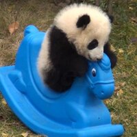 Kinan Putra (@kinansatriap) 's Twitter Profile Photo