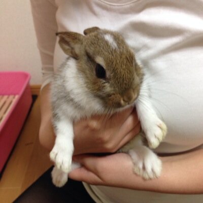 my_little_mt's profile picture. 