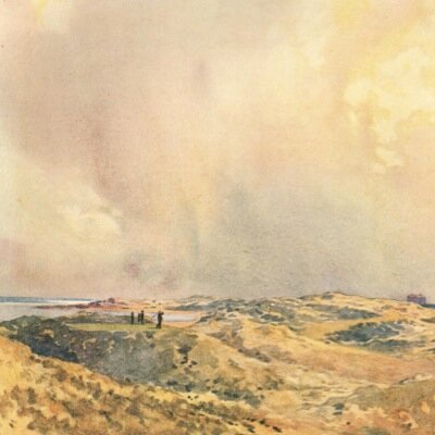 dnormoyle's profile picture. 