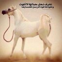 محمد العوني (@058292921) Twitter