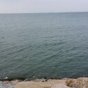 funny12122 (@0100021) Twitter