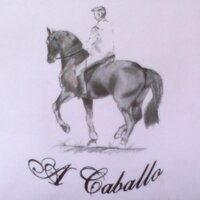 A Caballo (@acaballocyl) 's Twitter Profile