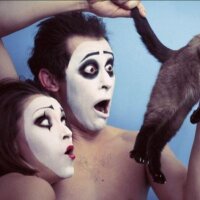 Explain the Image (@explaintheimage) 's Twitter Profile
