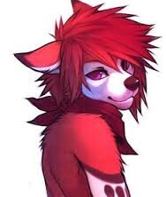 Names Ash. Covered in soft fur with a fluffy tail. Shy at first but Pretty nice for a Wolf I guess. I'm where the party is!! #furry #female #single #crushing
