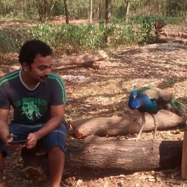 dessai_saurabh's profile picture. 