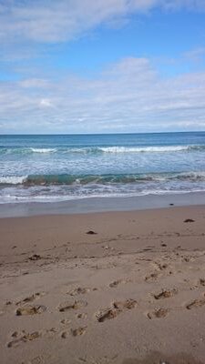 Skoregasm5833's profile picture. 