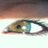 titapana's profile image