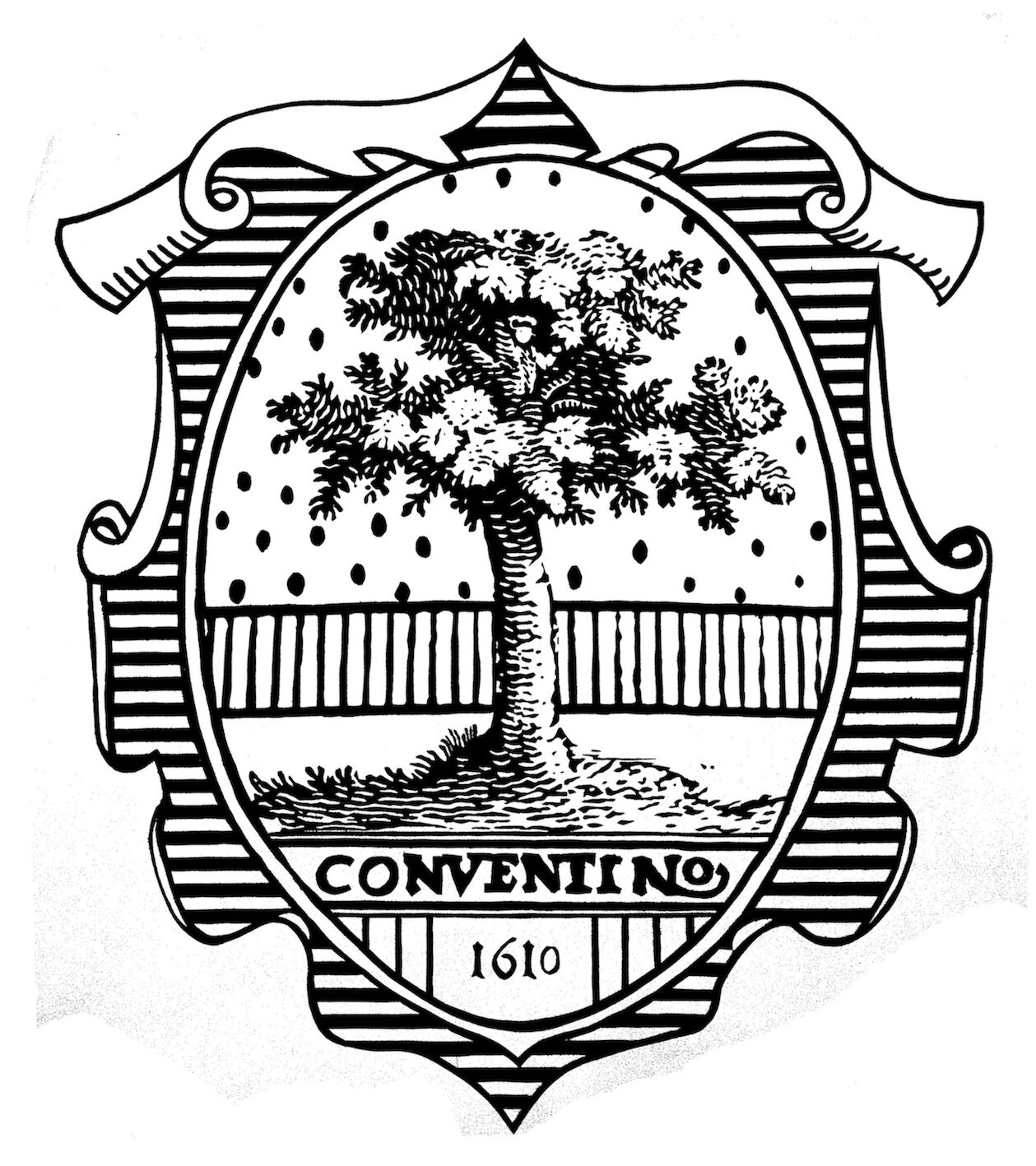 ConventinoM's profile picture. Resort Hub Relax Story Design Nomentum Area Architecture Archeology