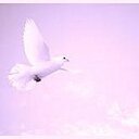 Marie Corey - @mariegcorey - Twitter