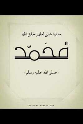 nassertarakeh's profile picture. 