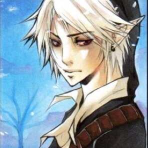 Same abilities as the Hero Of Time and weaknesses. My one wish is to decorate my blade in the Hero Of Time's blood. My Fairy Killer: @SummonMephilia #LoZRP