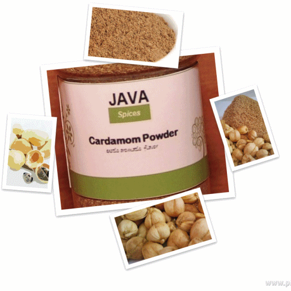 greenjavaspice's profile picture. We are the spice of Indonesia in which our country is famous for its diversity of spices in the world. Here you'll find  herbs, spices & seasonings