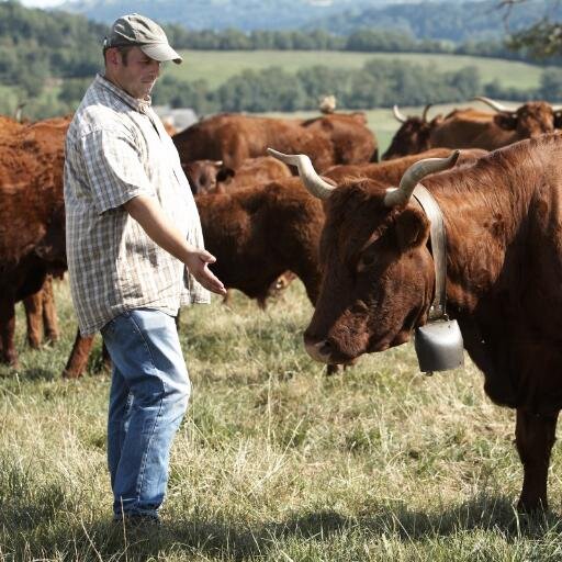 éleveur de salers au coeur des prairies des monts du cantal