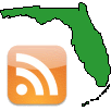 Serving SWFL Web Development, Business Intelligence and Computing Initiatives