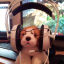 Kevin LEVEQUE - @Sao_62 - Twitter