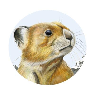 Send Bitcoins by Twitter! http://t.co/PttU3puUT0

World's 1st Bitcoin-Tweeting Bot.