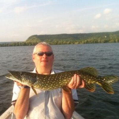 dom76500's profile image