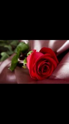 تَم ألغاء الحسآب * تجدوننِي هنا على صفَحتِي بالآسگ   http://t.co/F32dzBE2xA  گونوآ بخِير