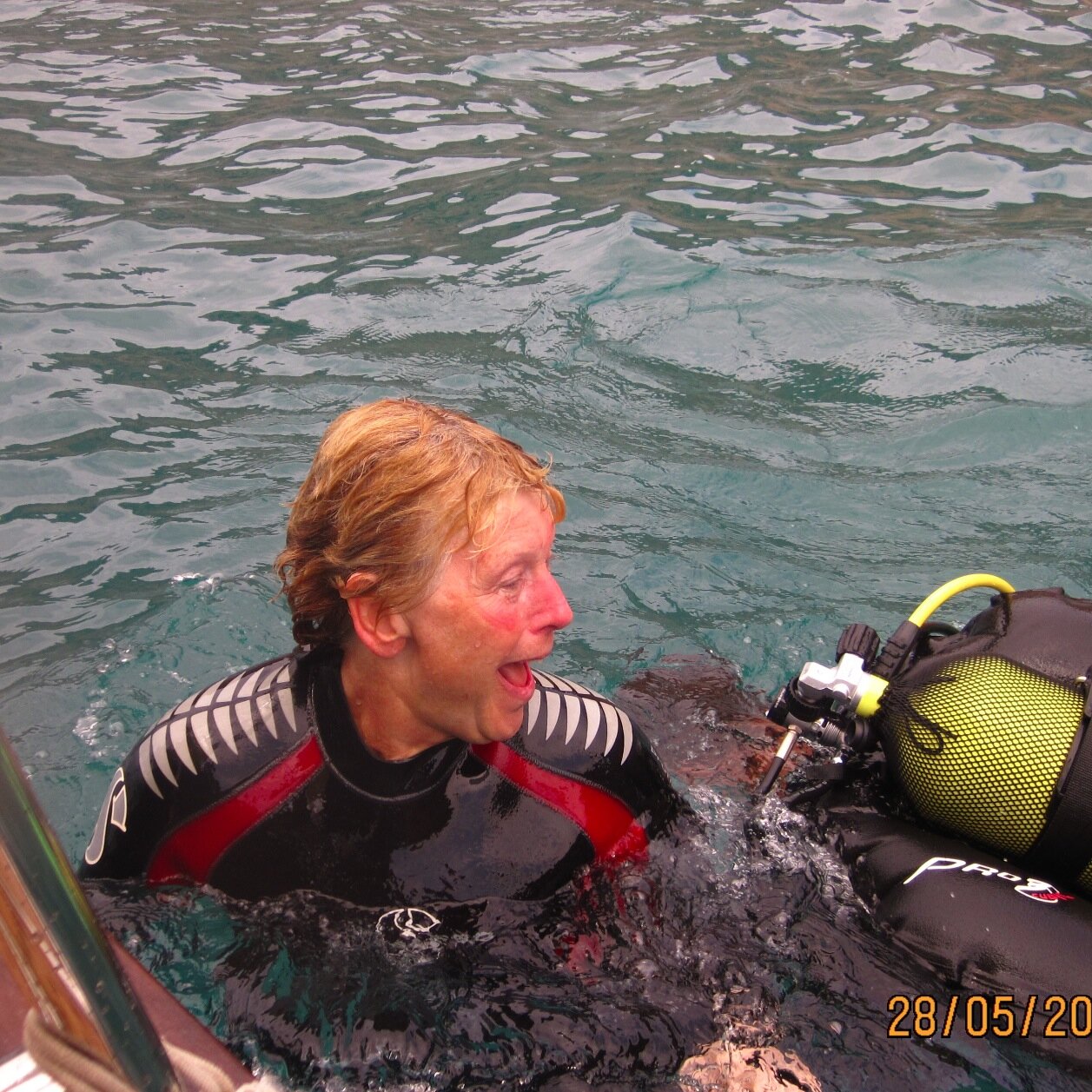 Osprey1372's profile picture. 