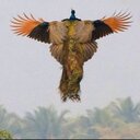 Khaled9009 (@055202026) Twitter