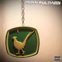 Born Ina Barn (@borninabarnuk) 's Twitter Profile