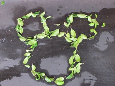 KySg_inko's profile picture. 好きなものは好き。嫌いなものは嫌い。ディズニーと鳥さんが大好き🐣💕  🐦🐶🐱飼ってます