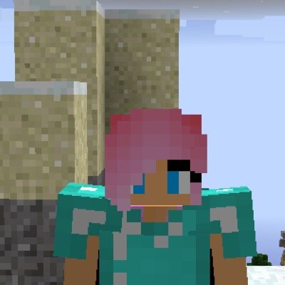 Gamer Girl | Minecraft Fan | Horse Rider