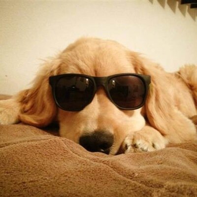 kmillerpsu86's profile picture. 