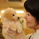 ペットランド (@63pato63) Twitter