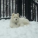 Scott Stolbach - @SStolbach - Twitter