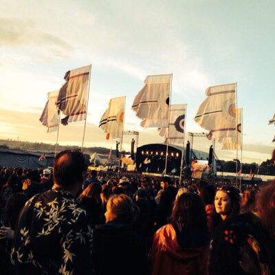 crunchie1981's profile picture. 