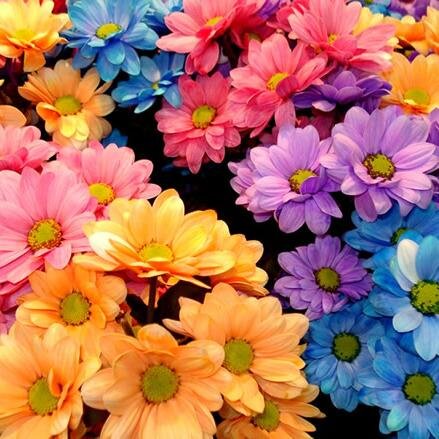 AdelBohdima's profile picture. 