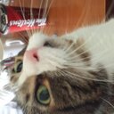 Fredrick Russell - @Soul_Goat - Twitter