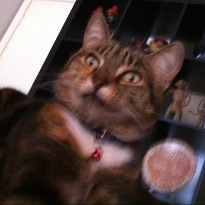 Official Twitter account of Charlie Purrington. All views expressed are my own.