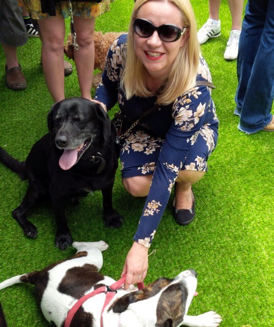hayleyanderso20's profile picture. Director of People & Operations @jdrfuk the type 1diabetes charity. Dog lover, food lover, spurs devotee. All views my own