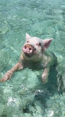 100pern's profile picture. 