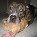 Janis Krieger - @JanisKrieger - Twitter